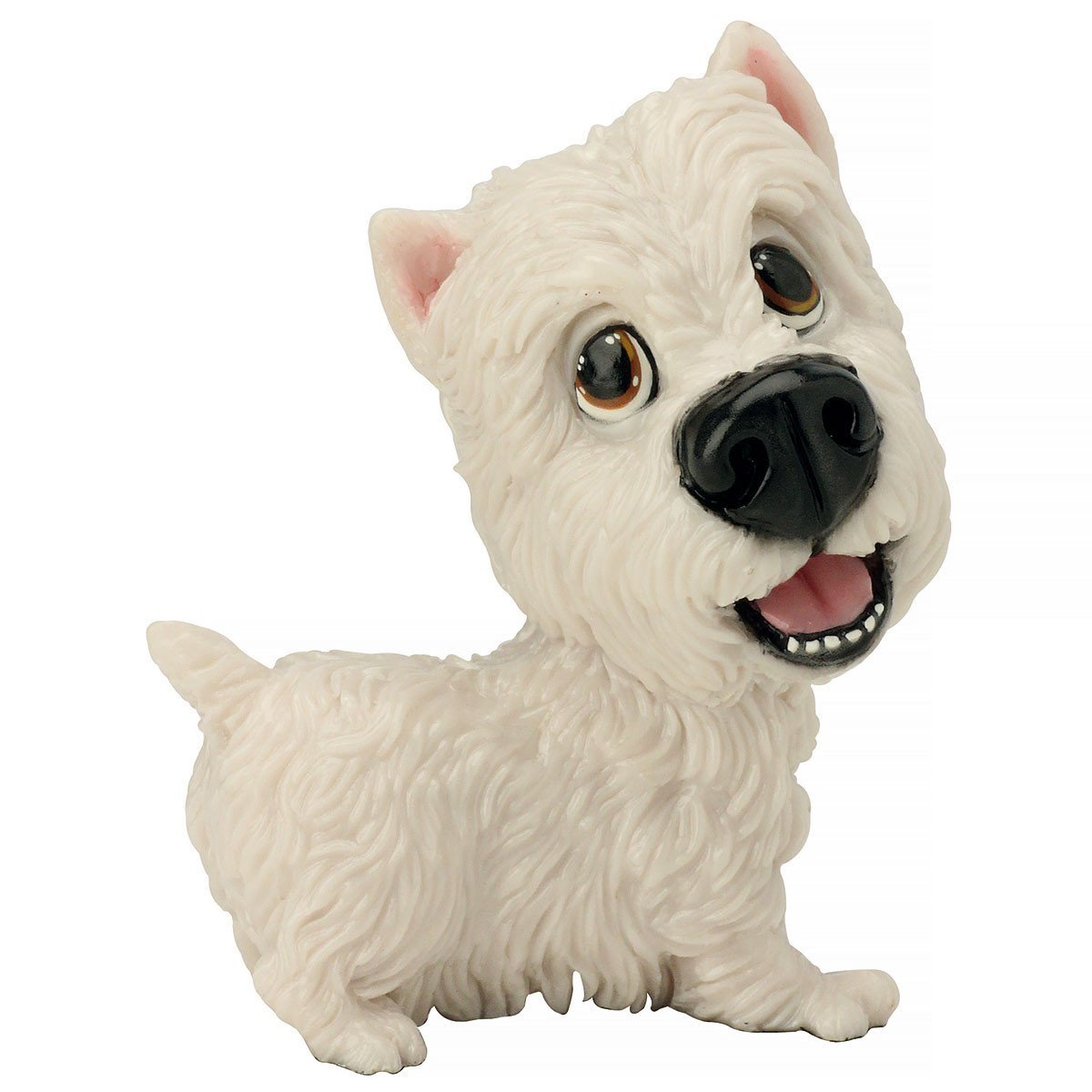 Harry - Westie